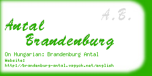 antal brandenburg business card